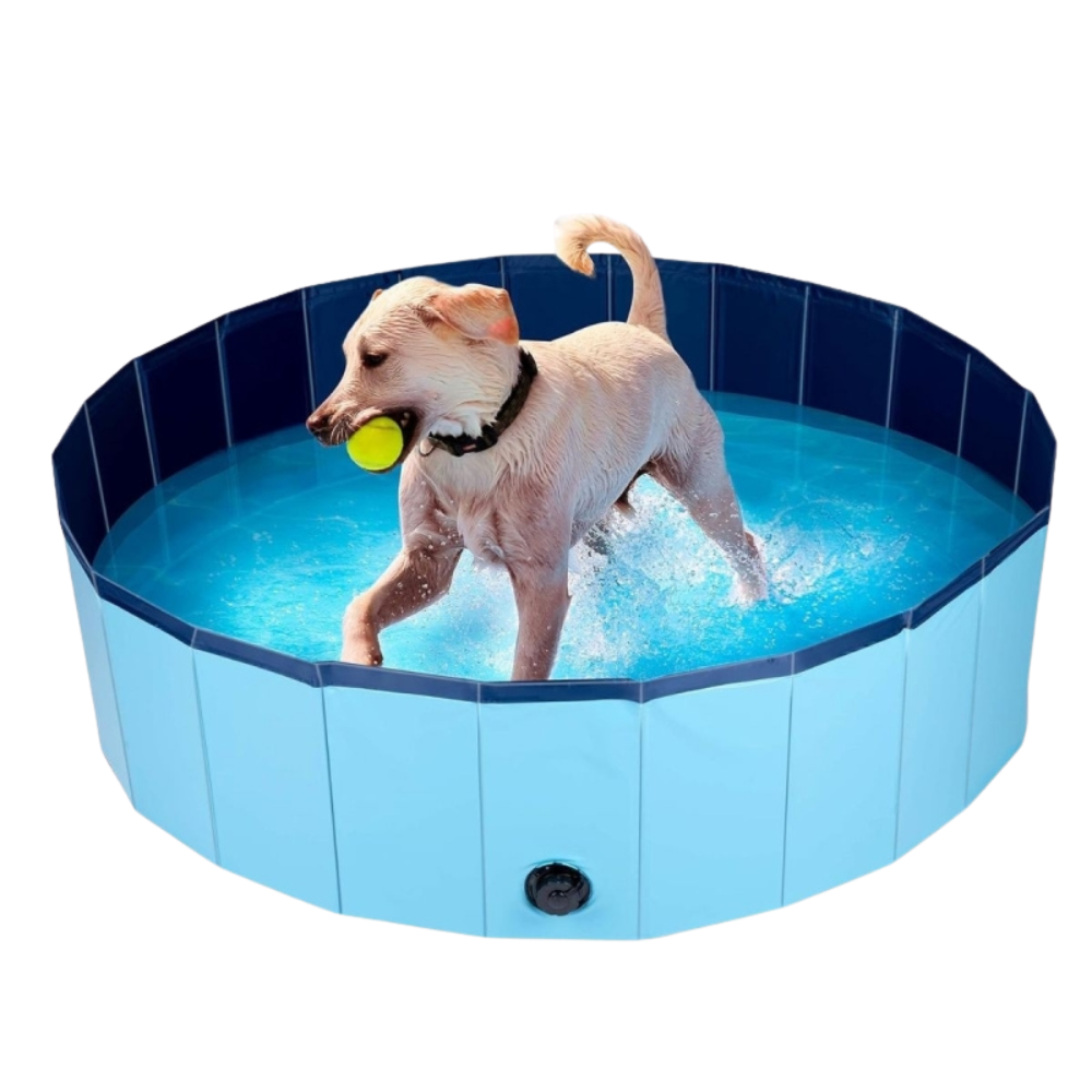 Piscine pliable pour chien antidérapante – Tailles S/M/L