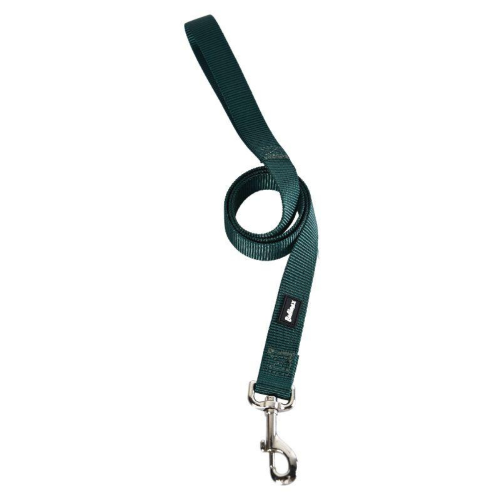 Laisse en Nylon Résistante pour Chien - 100 cm, 25 mm