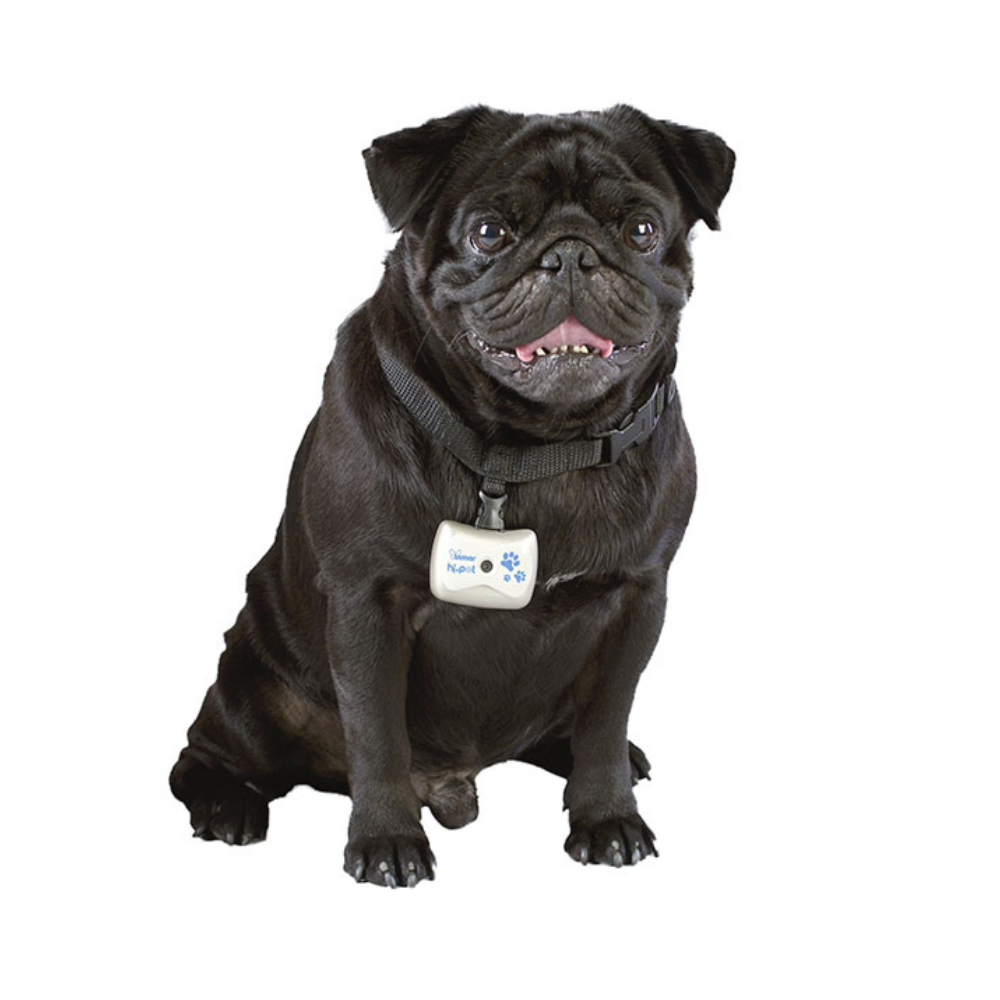 Caméra pour Chien - Vidéo & Audio HD - Collier Intégré