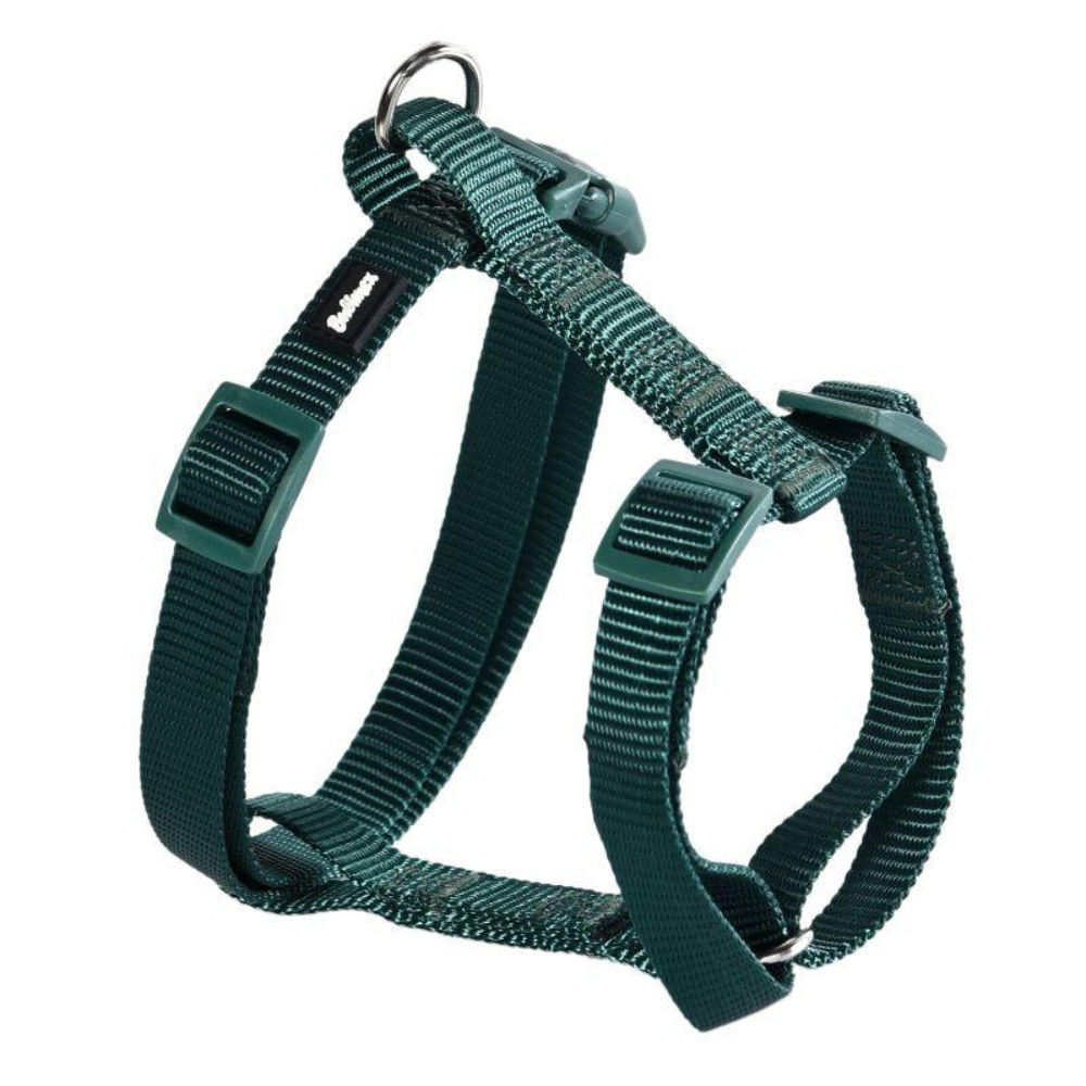Harnais en Nylon Réglable pour Chien - 20mm, 52-80cm