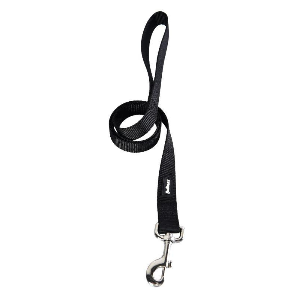 Laisse en Nylon Résistante pour Chien - 120 cm, 10 mm
