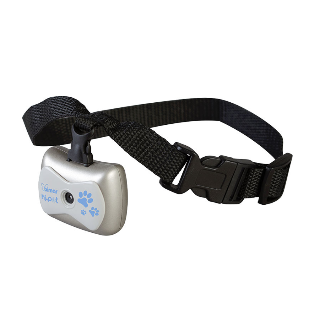 Caméra pour Chien - Vidéo & Audio HD - Collier Intégré