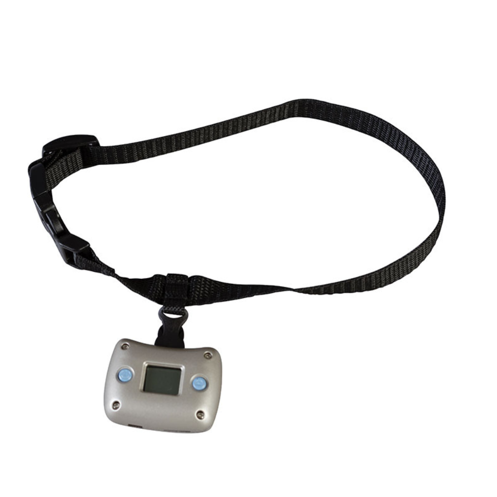 Caméra pour Chien - Vidéo & Audio HD - Collier Intégré