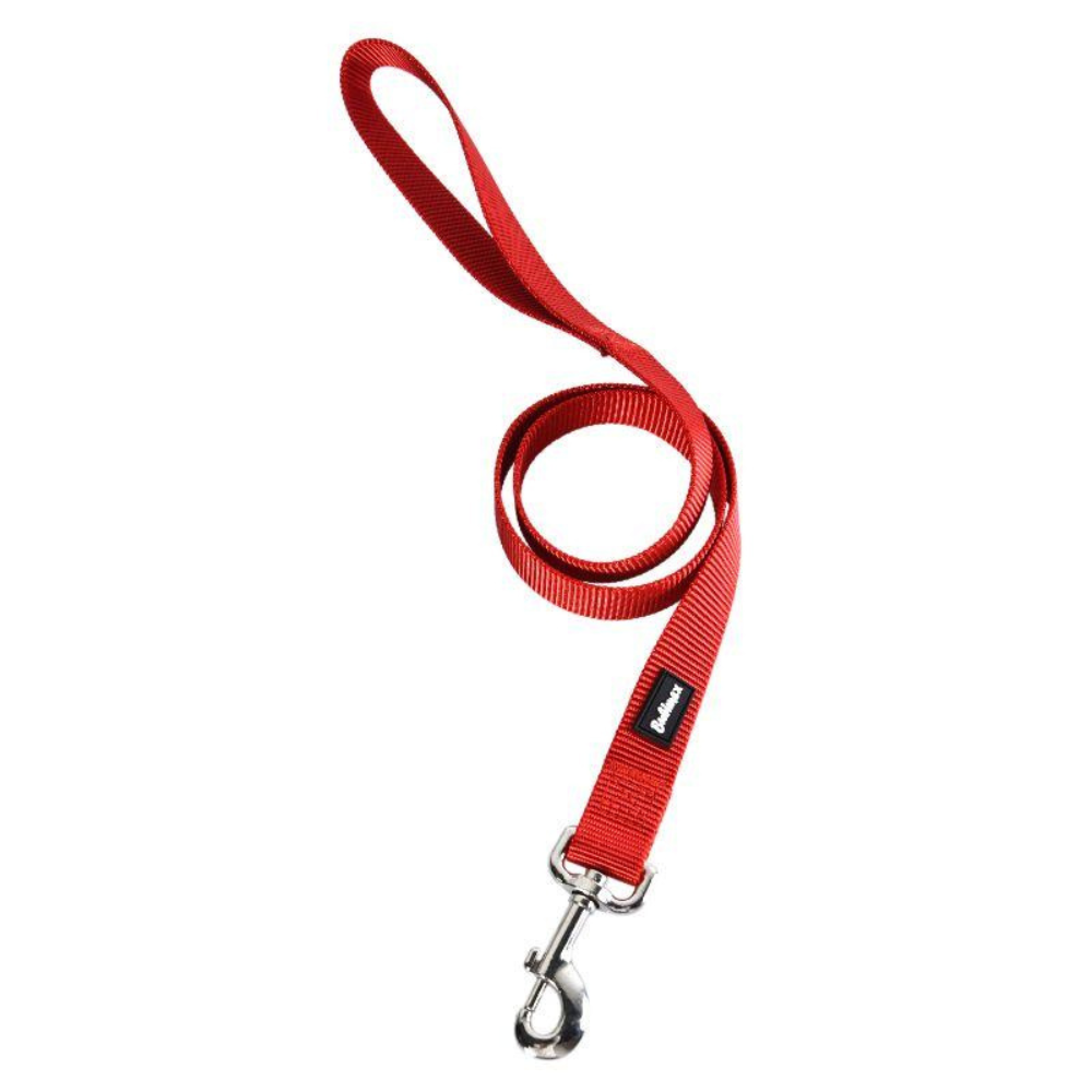 Laisse en Nylon Résistante pour Chien - 120 cm, 10 mm