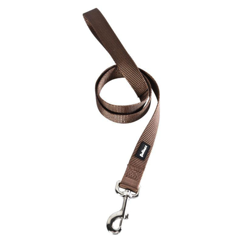 Laisse en Nylon Résistante pour Chien - 120 cm, 10 mm