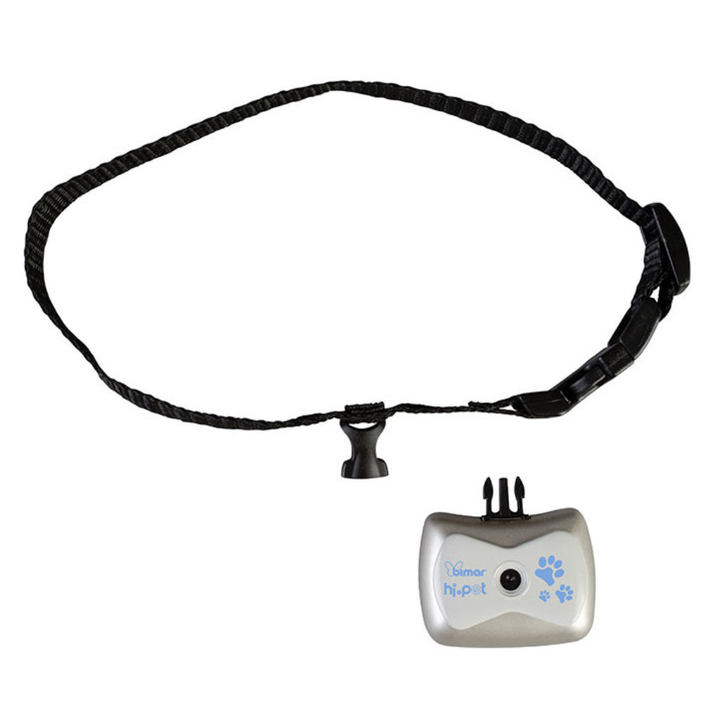 Caméra pour Chien - Vidéo & Audio HD - Collier Intégré