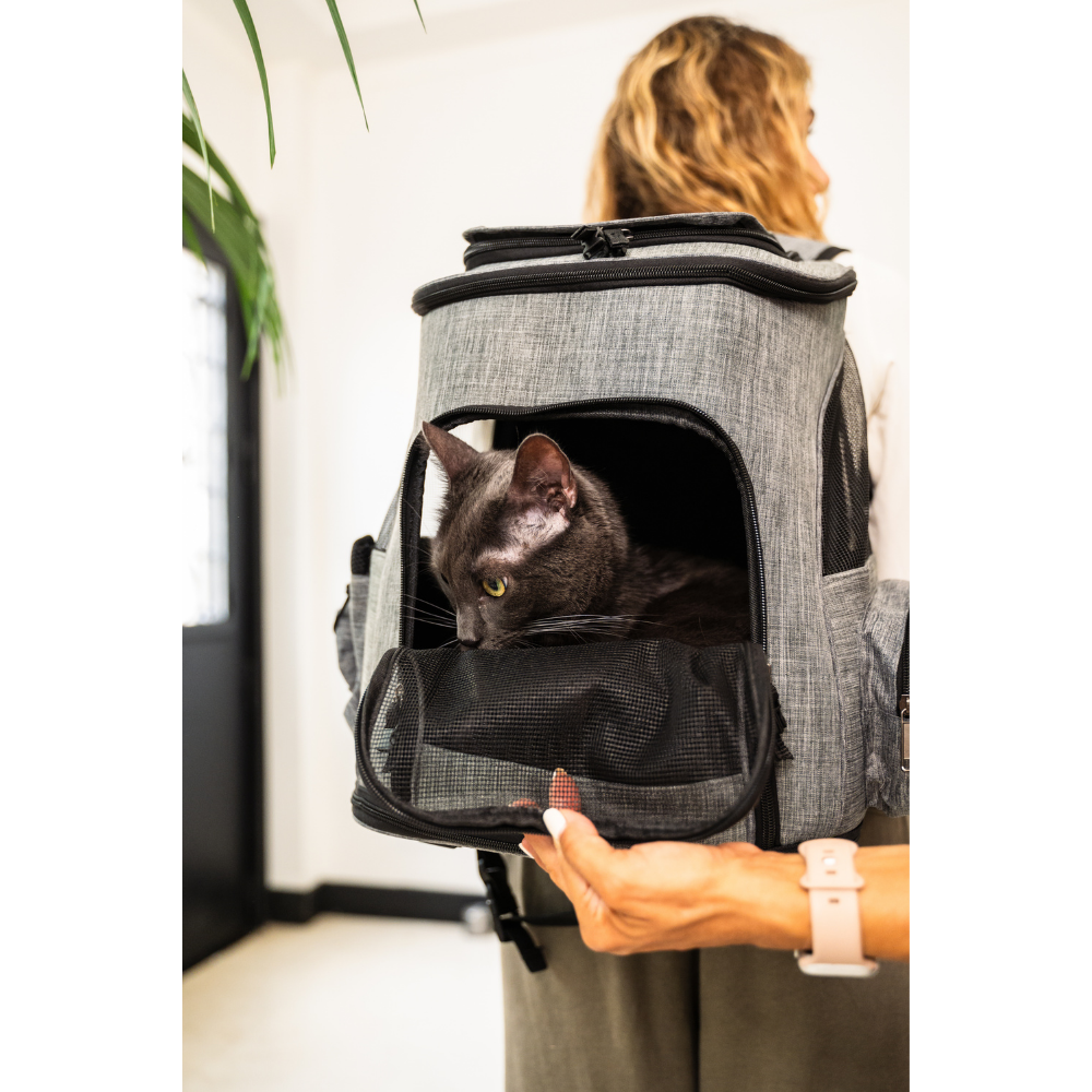 Dog and Cat Carrier Bag – Comfort and Safety