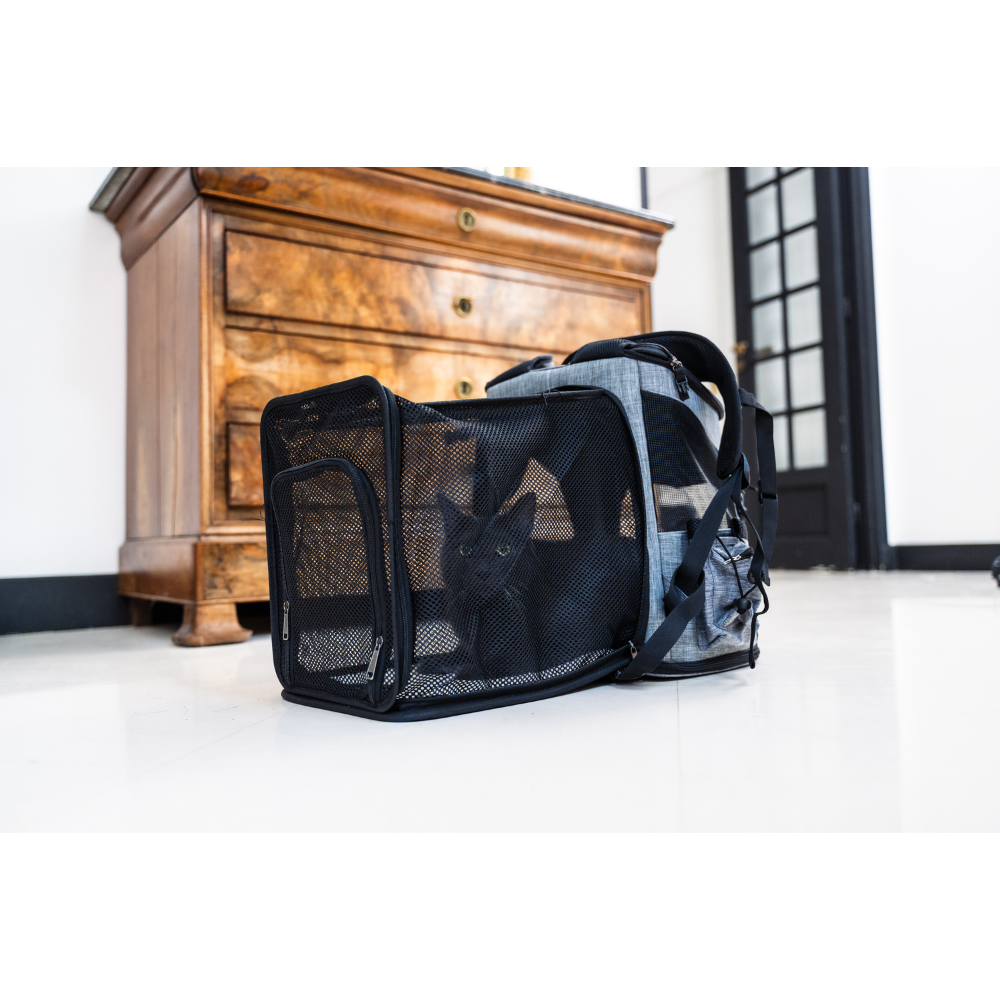 Dog and Cat Carrier Bag – Comfort and Safety