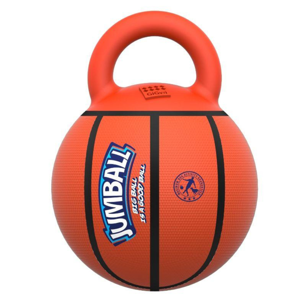 Ballon Basket Sauteur avec Poignée pour Chien - Résistant et Ludique