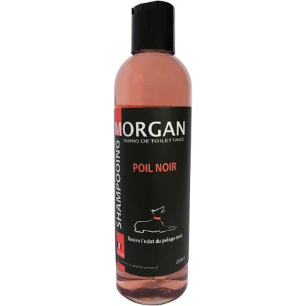Black hair shampoo