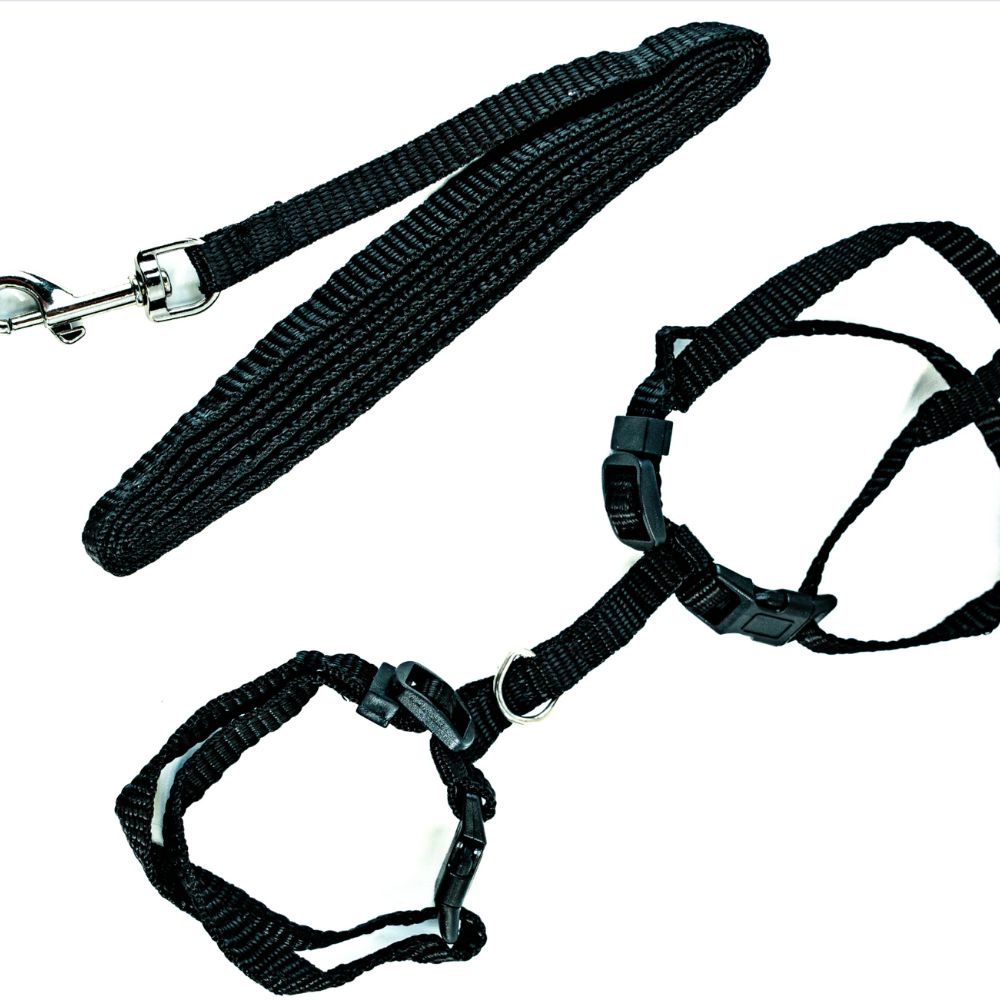 Harnais pour Chiots et Chats 30-40cm – Confort et Sécurité
