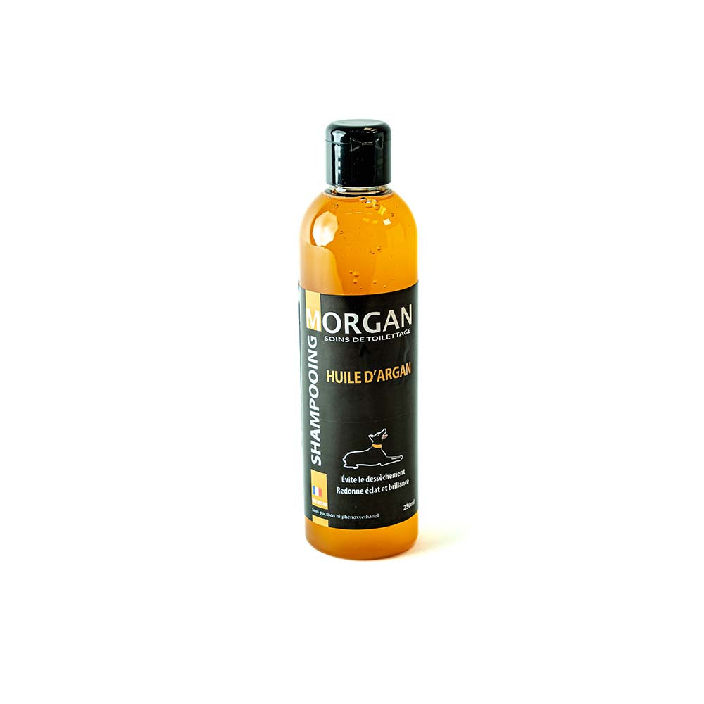 Morgan Argan Oil Shampoo – Shine and Hydration Treatment