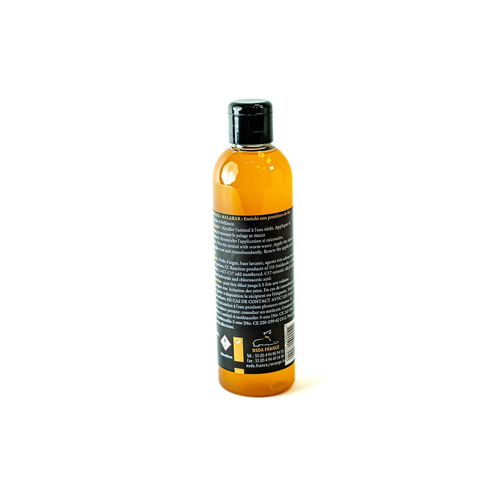 Morgan Argan Oil Shampoo – Shine and Hydration Treatment