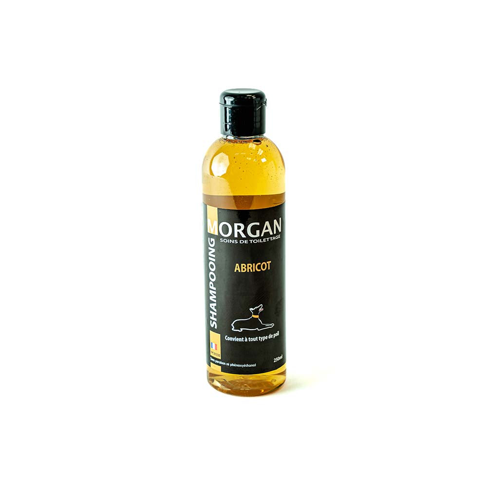 Morgan Apricot Shampoo – Gentle Care and Shine for Dogs and Cats
