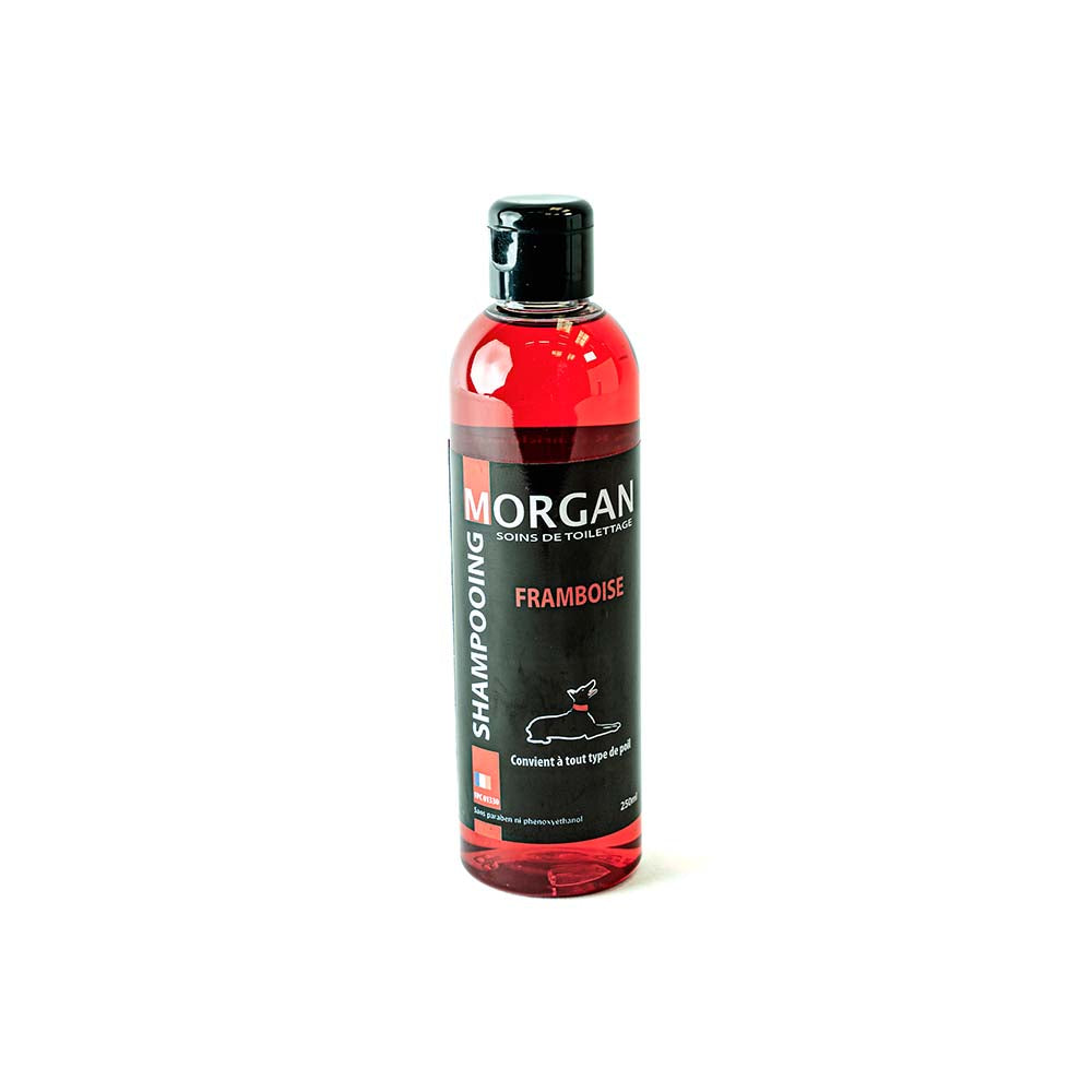 Morgan Raspberry Shampoo – Gentle Care and Shine for Dogs and Cats