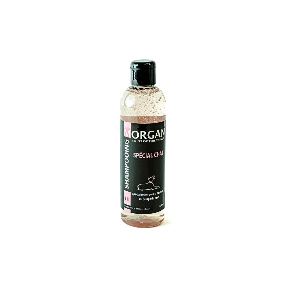 Morgan Shampooing Spécial Chat – Soin Doux et Hydratant pour Pelage