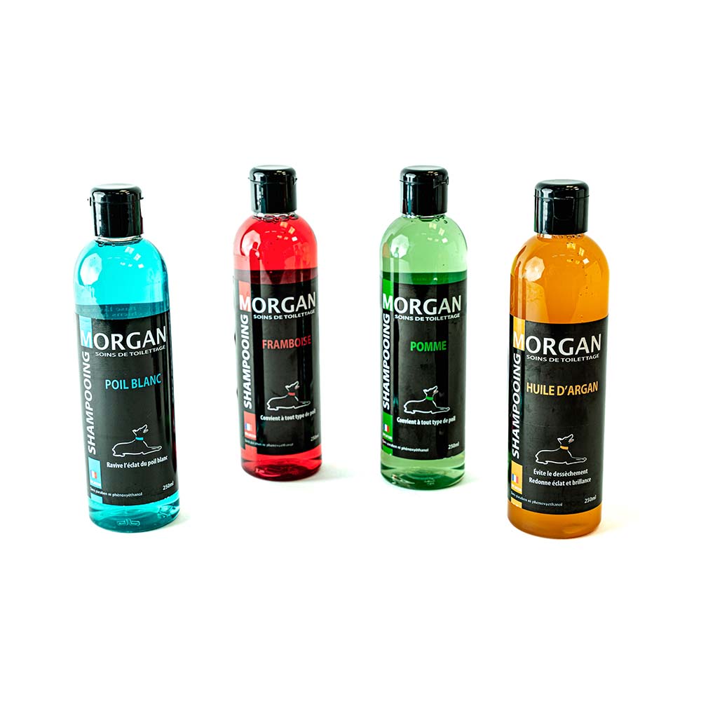 Morgan Raspberry Shampoo – Gentle Care and Shine for Dogs and Cats