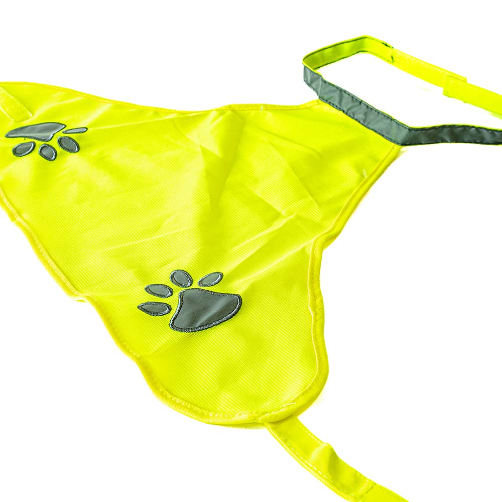 Gilet de Sécurité pour Chien – Haute Visibilité et Confort