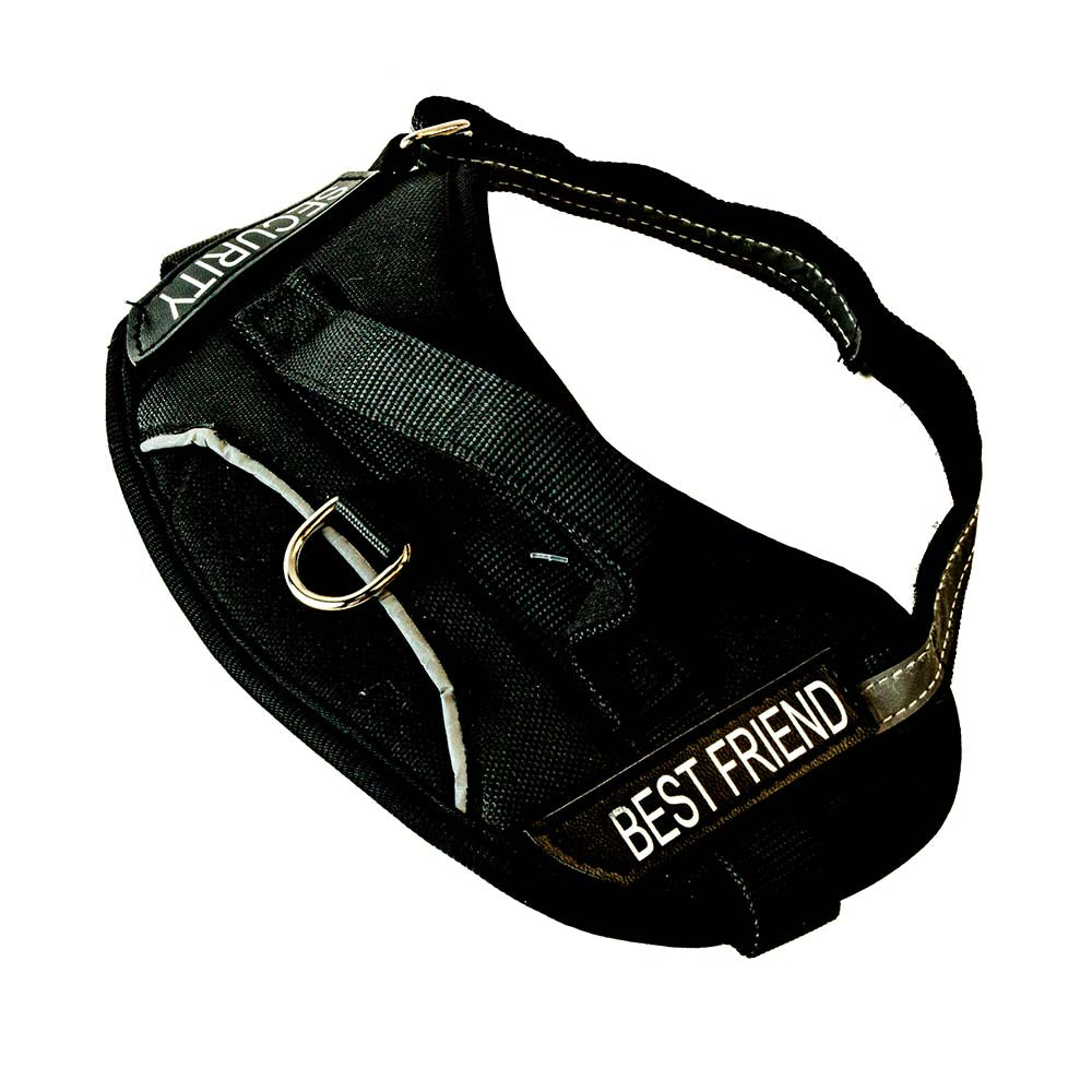 XL dog harness