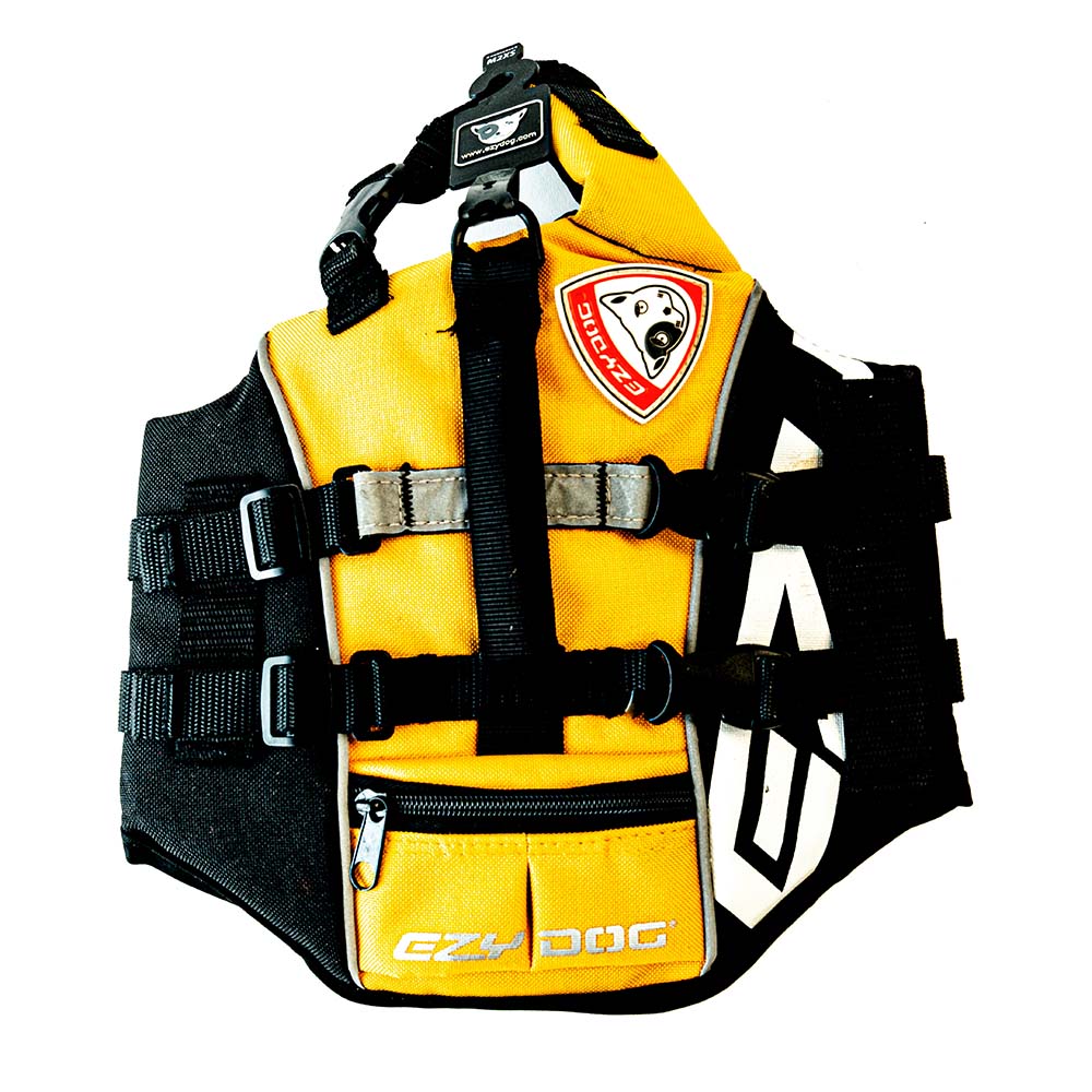 Gilet de sauvetage pour chien - Protection et confort dans l'eau