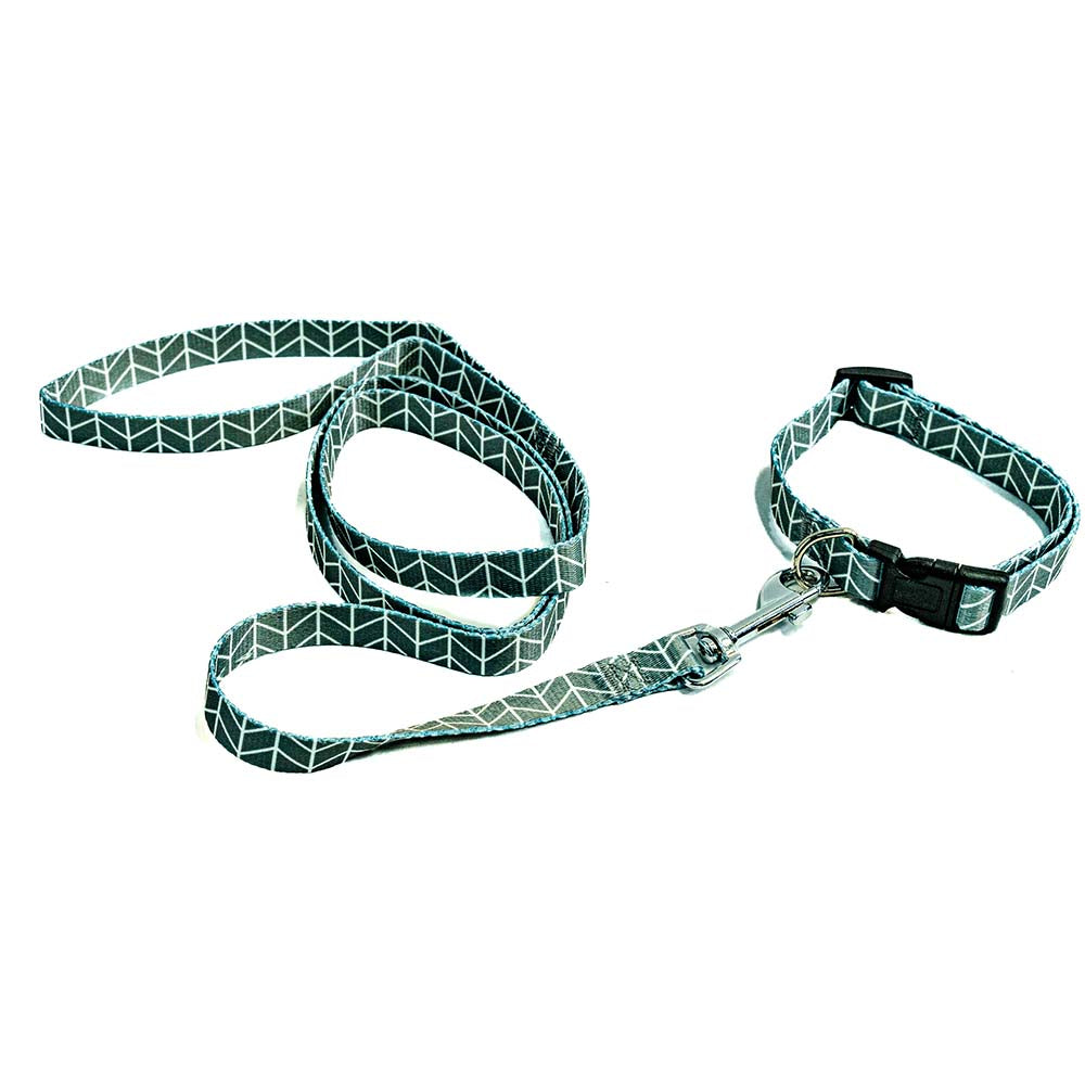 Laisse avec collier pour chien - Gris 120cm ( S,M,L)