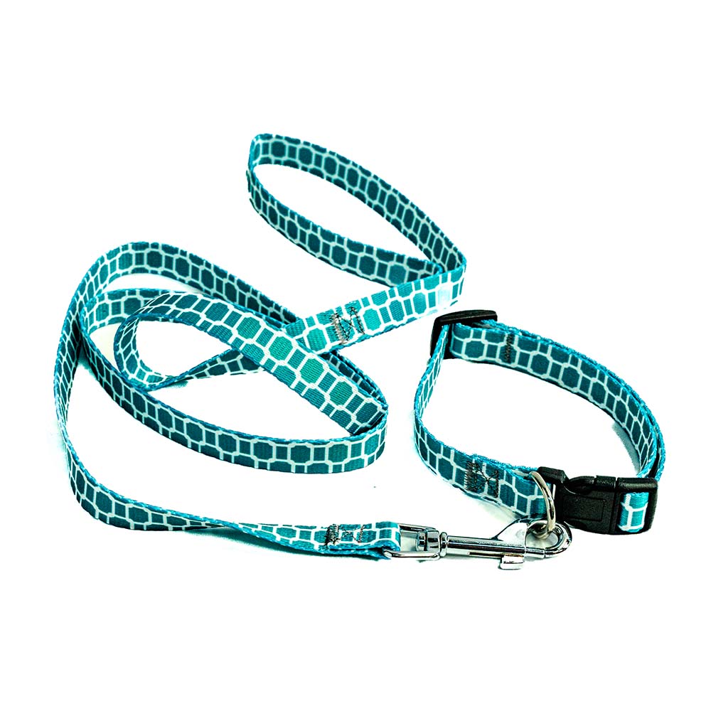 Laisse avec collier pour chien bleu - 120cm (S, M, L)