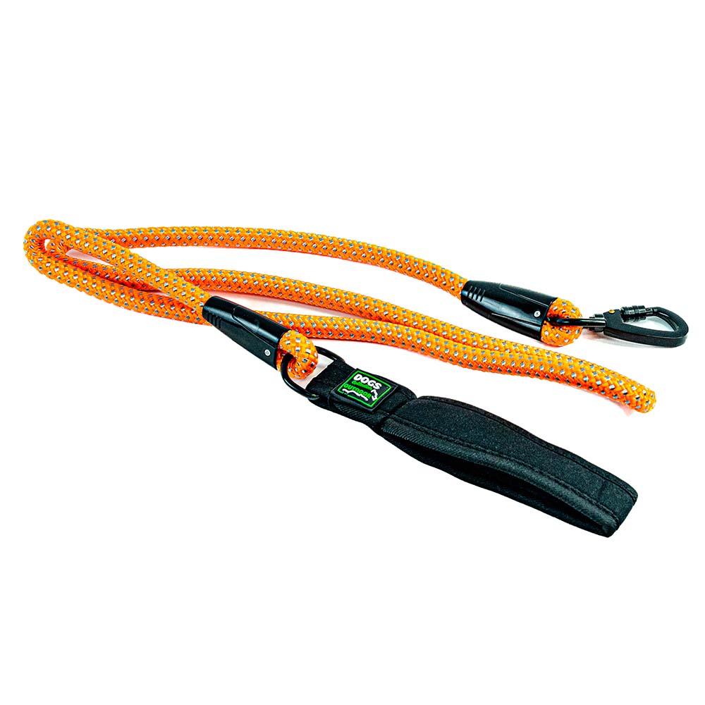 Laisse Chien 1,60m – Manche en Métal Robuste et Sécurisé