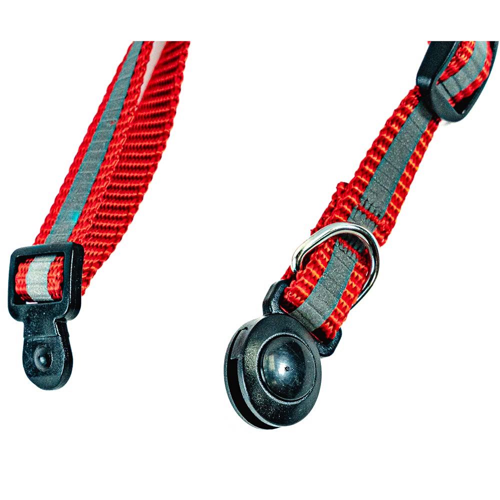 Collier Réglable pour Chat avec Fermeture Sécurisée