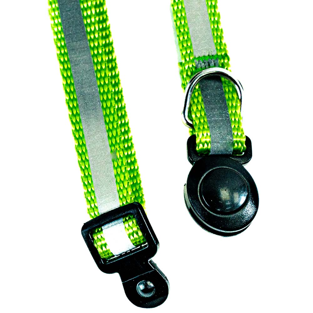 Collier Réglable pour Chat avec Fermeture Sécurisée