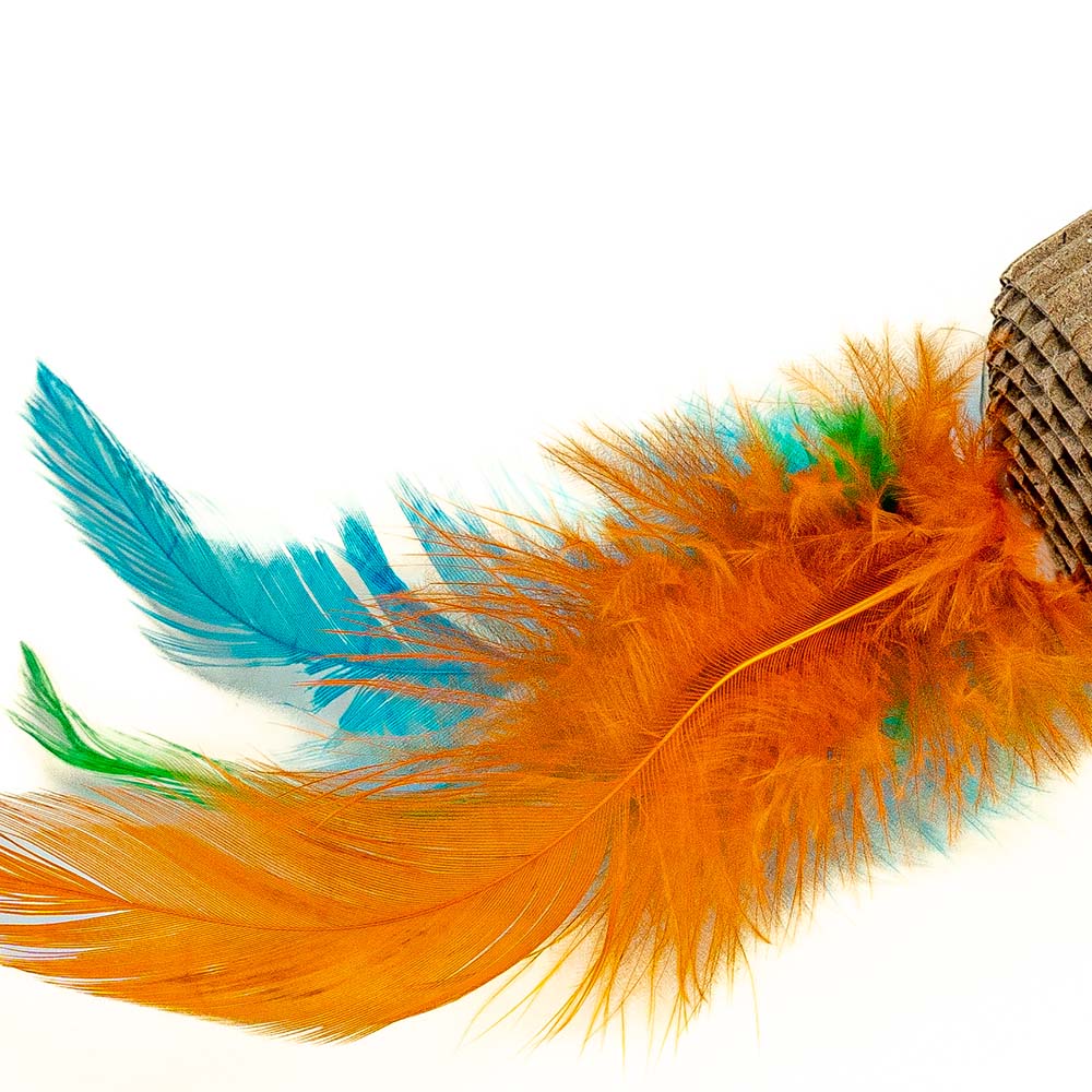 Griffoir pour Chat avec Plume - Jeu et Griffes en Santé