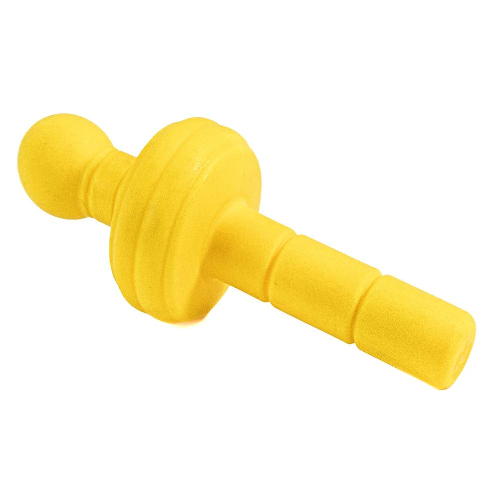 Jouet Flottant pour Chien – Idéal pour Jeux Aquatiques et Mastication