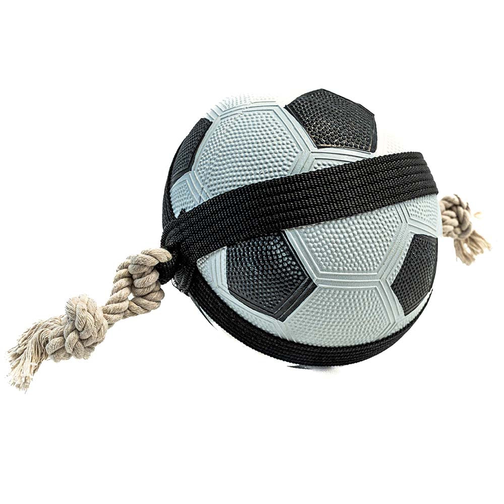 Balle de Foot pour Chien - Jouet Résistant