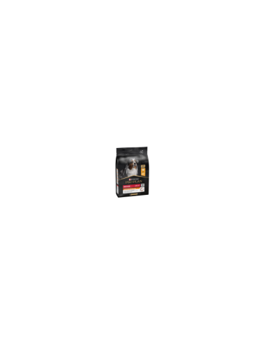PRO PLAN MEDIUM ADULT Riche en poulet - 14kg