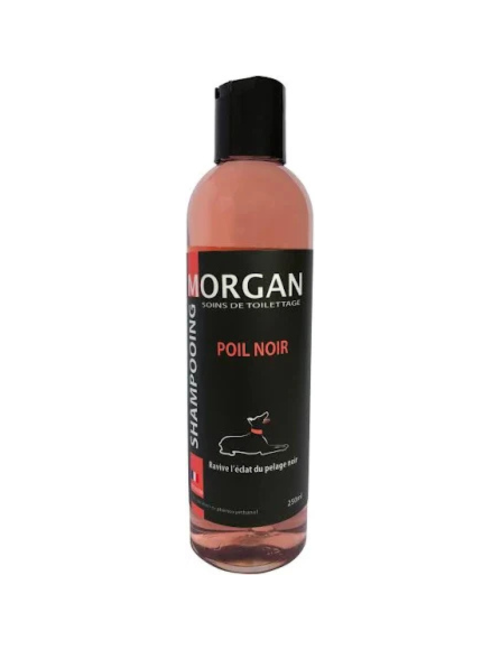 Shampooing poil Noir 250ml
