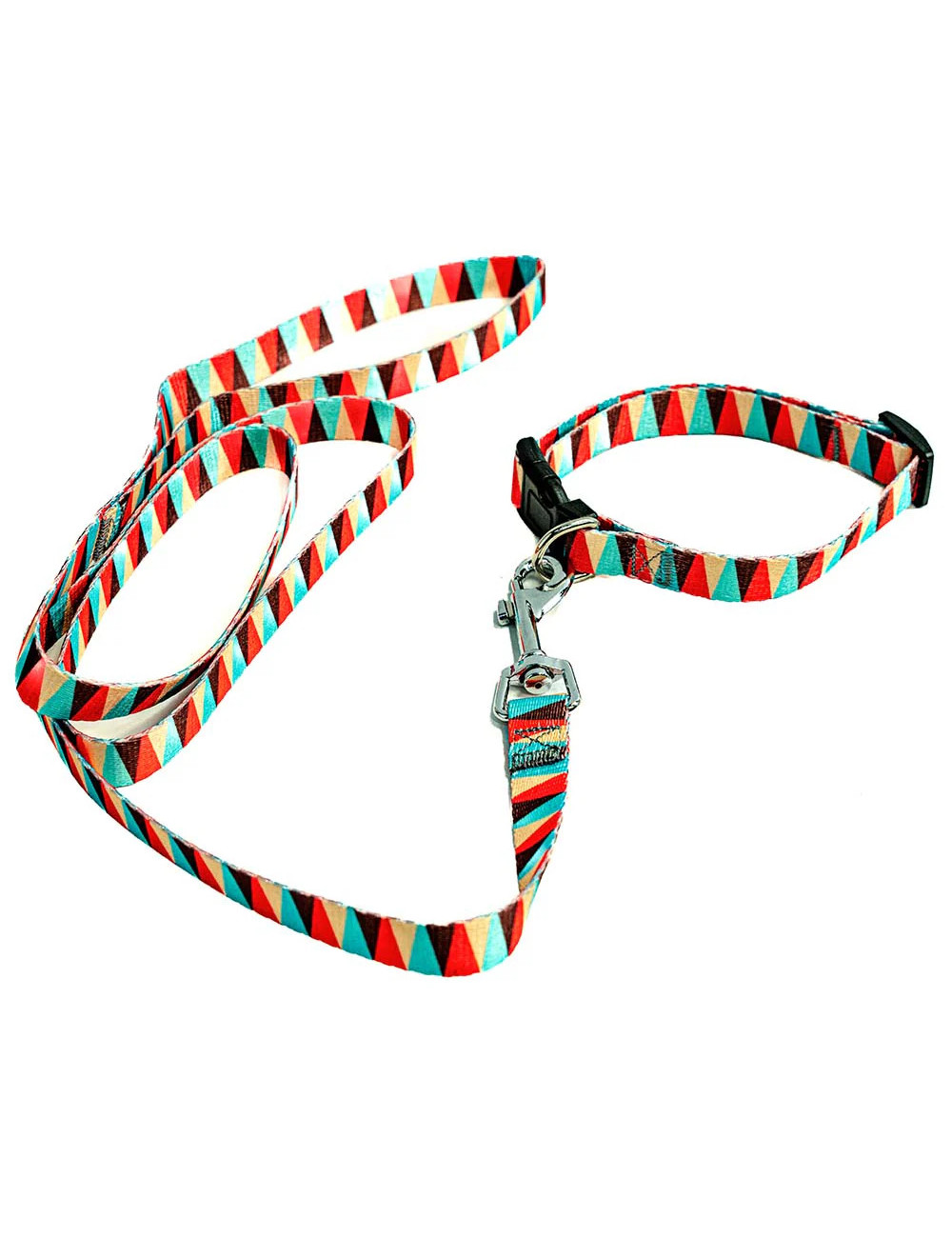 Laisse avec collier pour chien