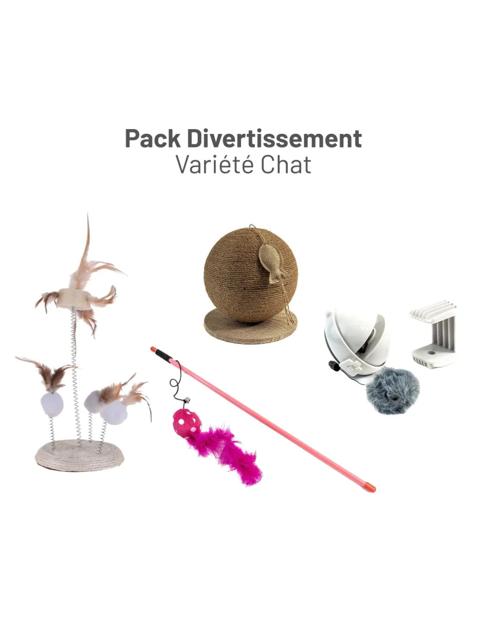 Pack Divertissement Variété Chat