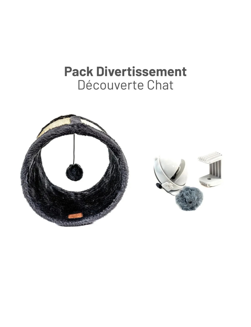 Pack Divertissement Découverte Chat