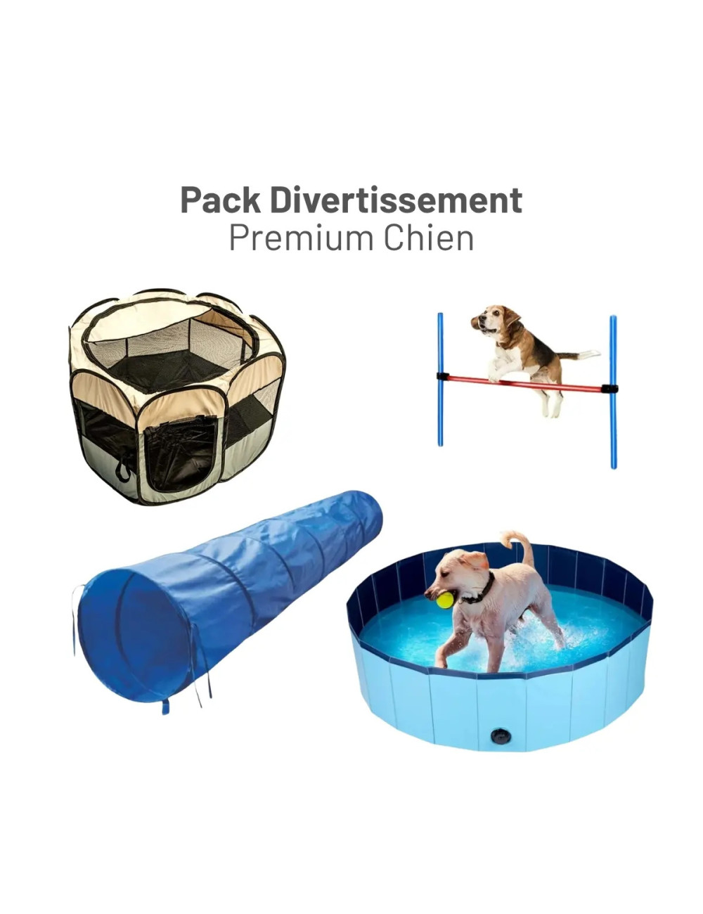 Pack Divertissement Premium Chien