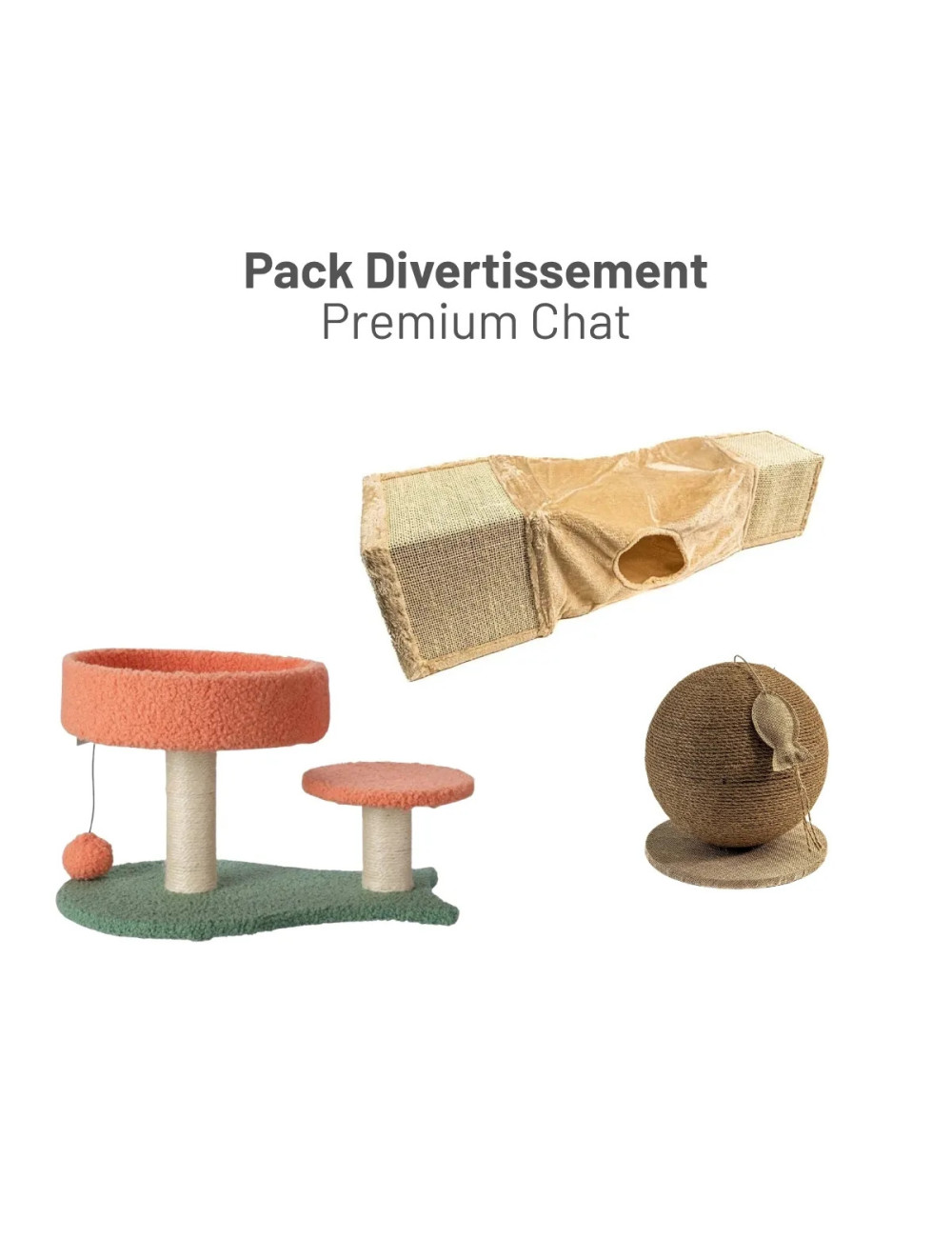 Pack Divertissement Premium Chat