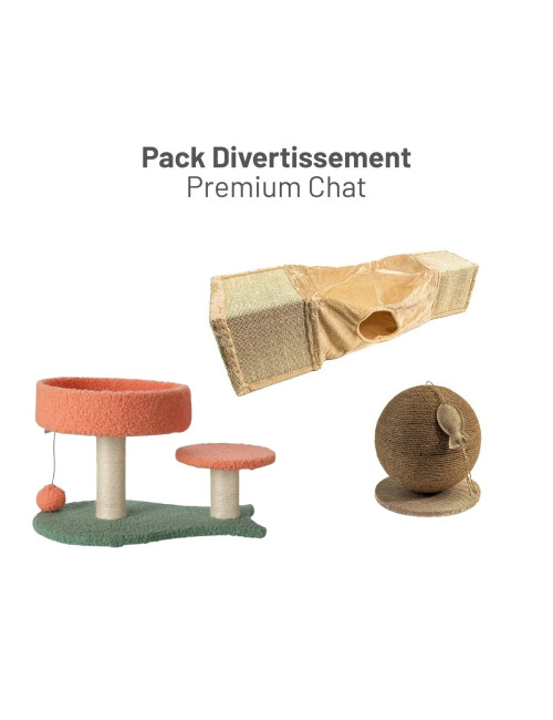 Pack Divertissement Premium Chat – Coffret Cadeau Animal | Zoopiz
