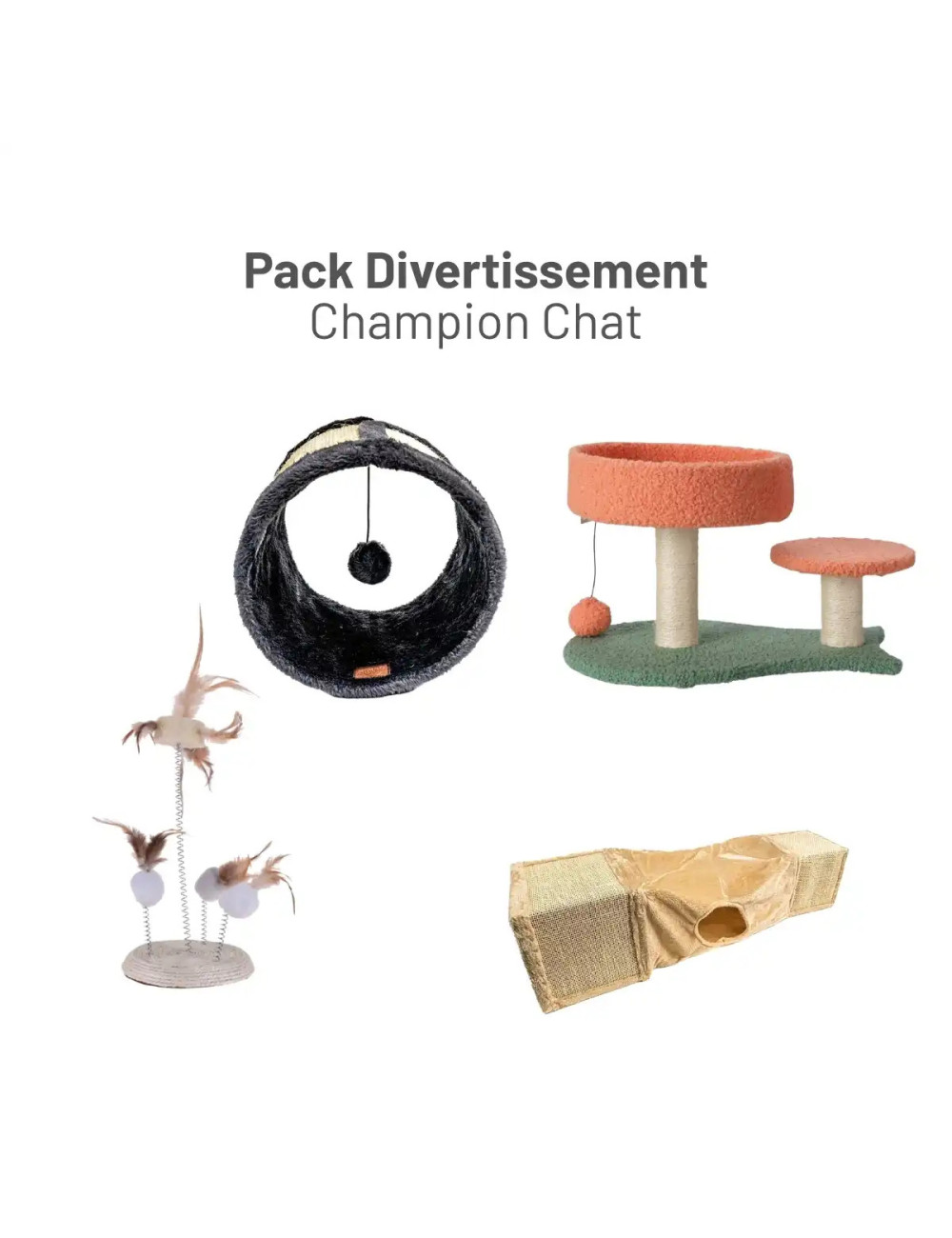 Pack Divertissement Champion Chat