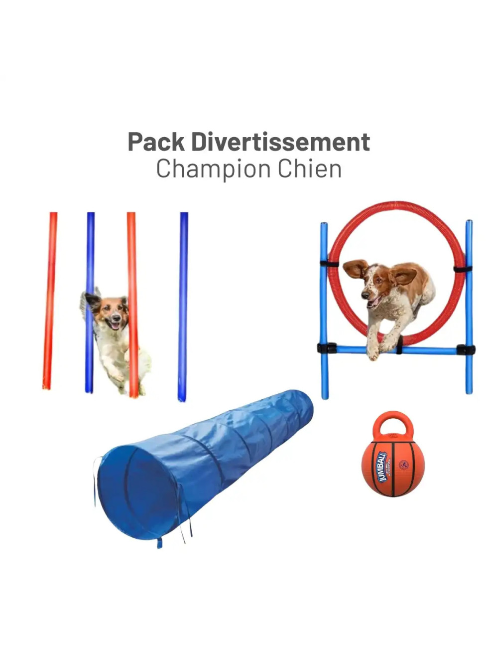 Pack Divertissement Champion Chien
