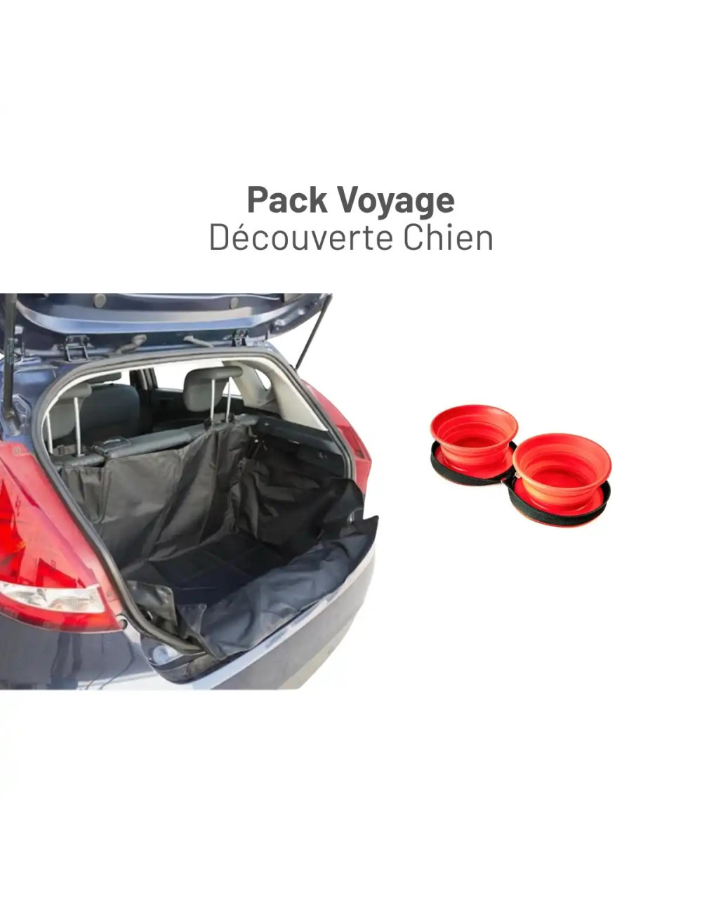 Pack Voyage Découverte Chien