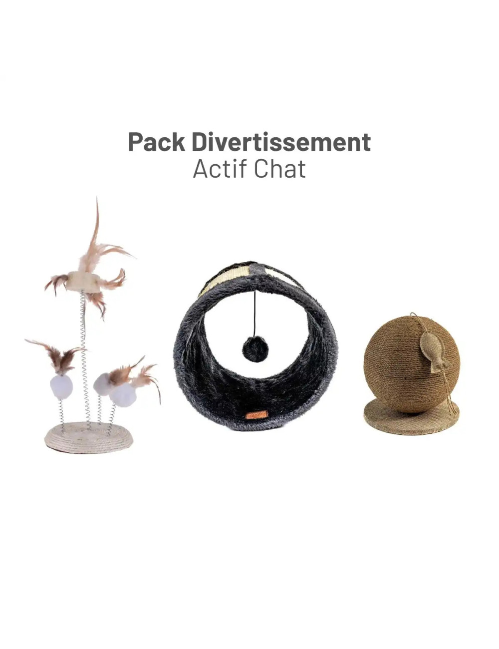 Pack Divertissement Actif Chat
