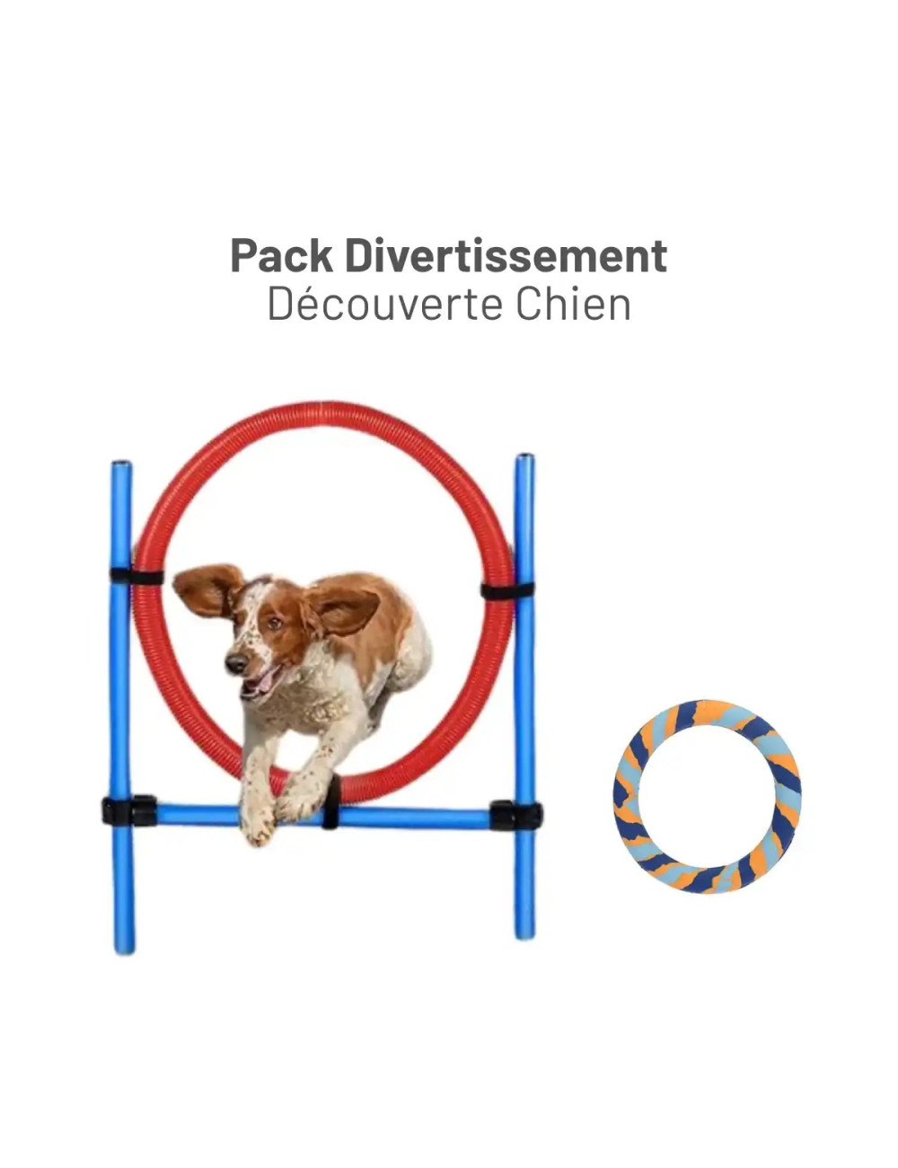 Pack Divertissement Découverte Chien