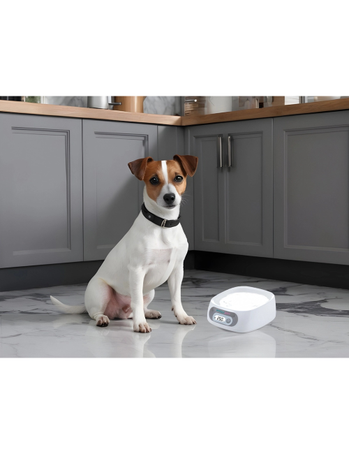 Gamelle avec Balance Intégrée - Contrôle Précis des Rations pour Animaux