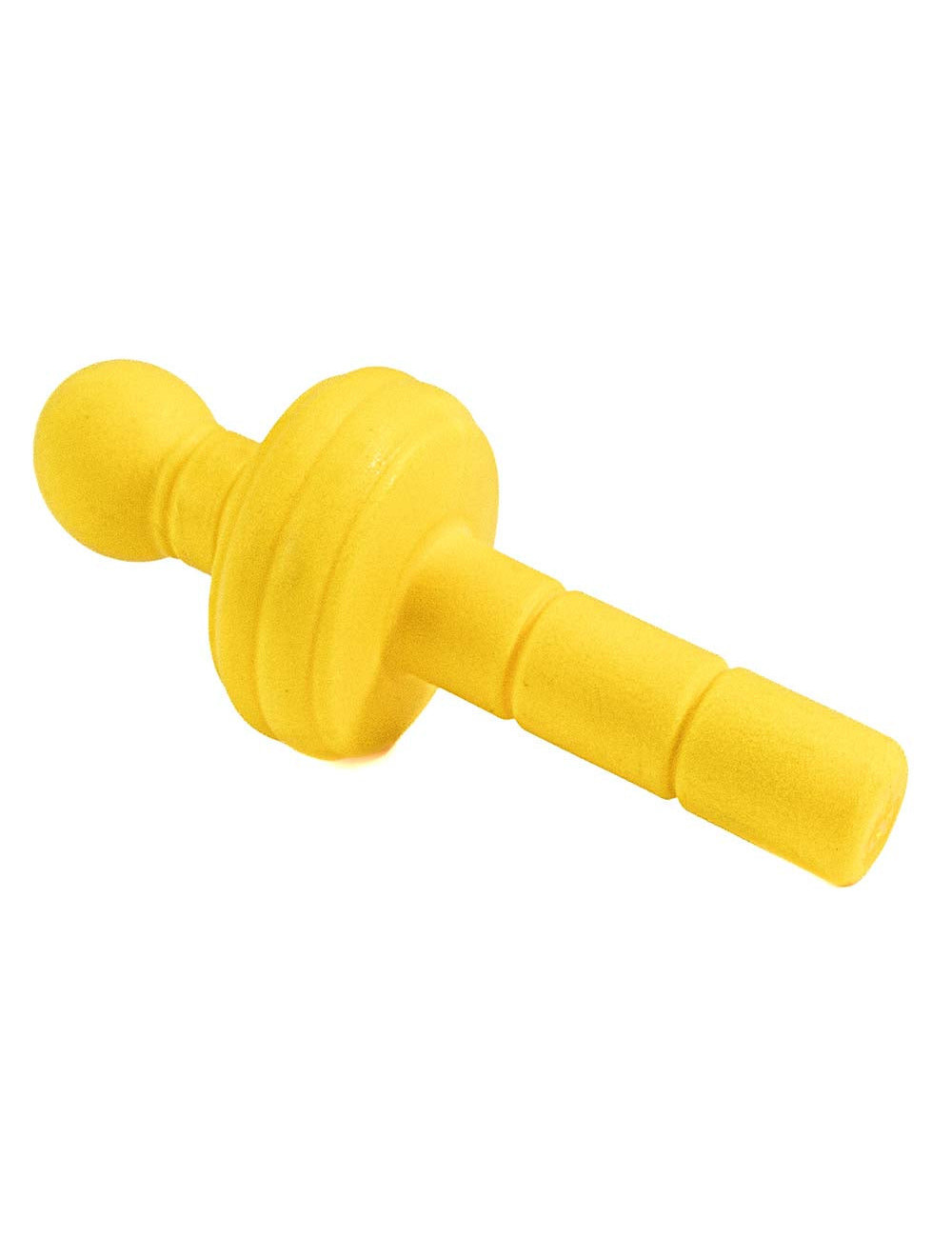 Jouet Flottant pour Chien – Idéal pour Jeux Aquatiques et Mastication