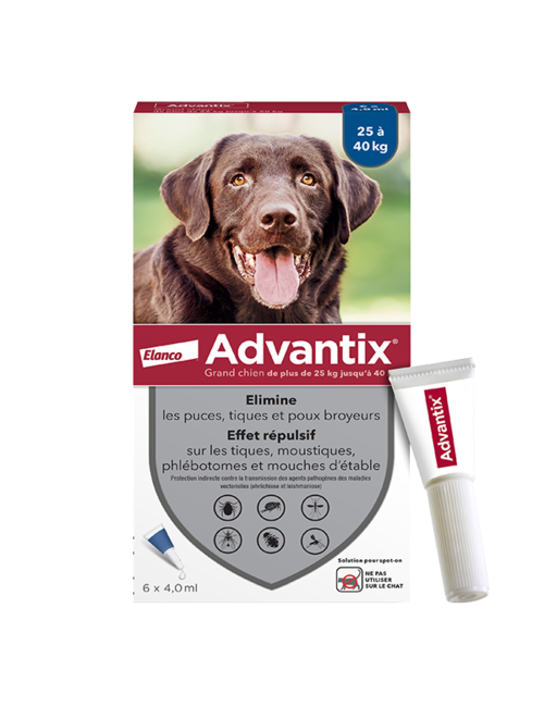 ADVANTIX grand chien 25-40kg -  6 Pipettes Anti-Puces et Anti-Tiques