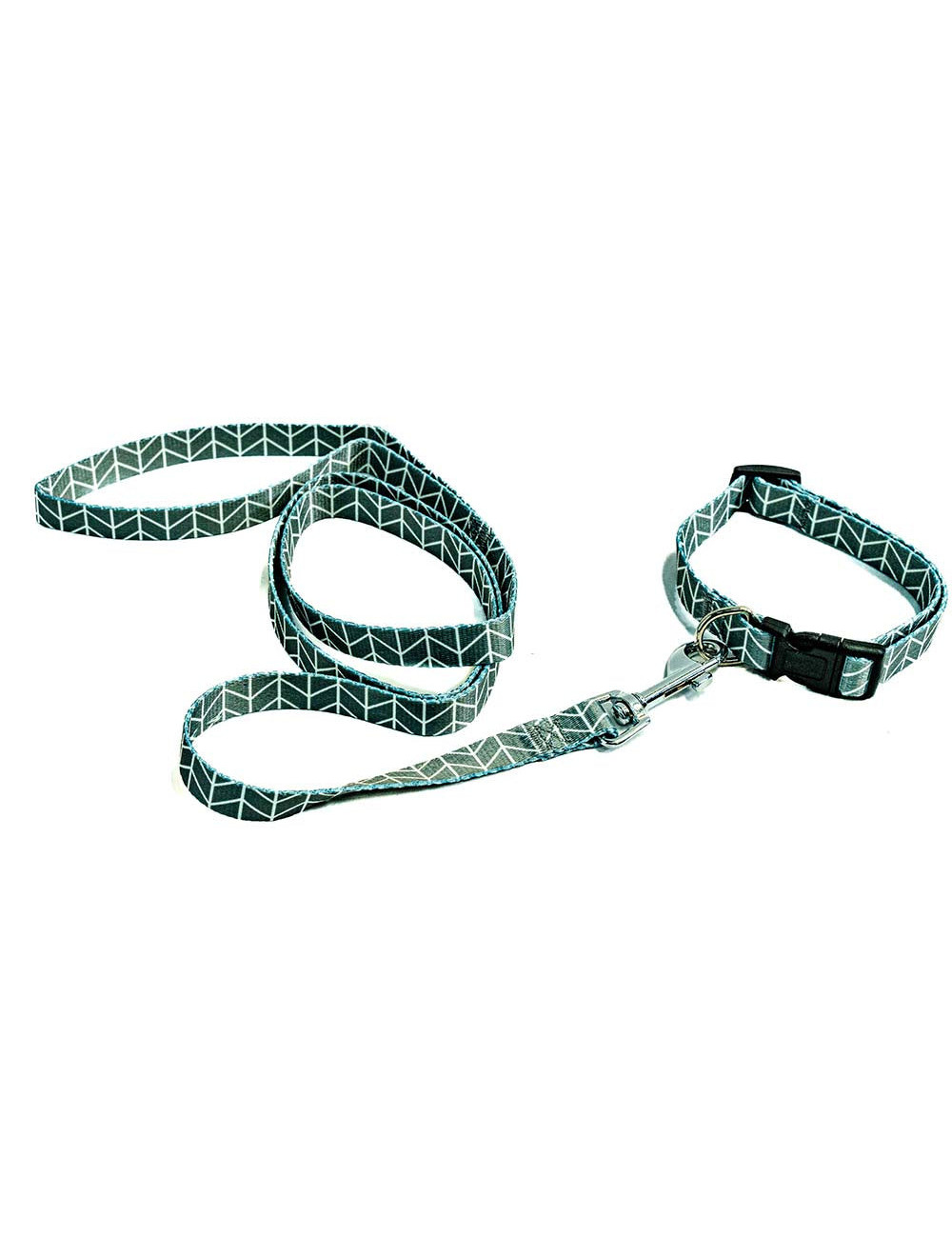 Laisse avec collier pour chien