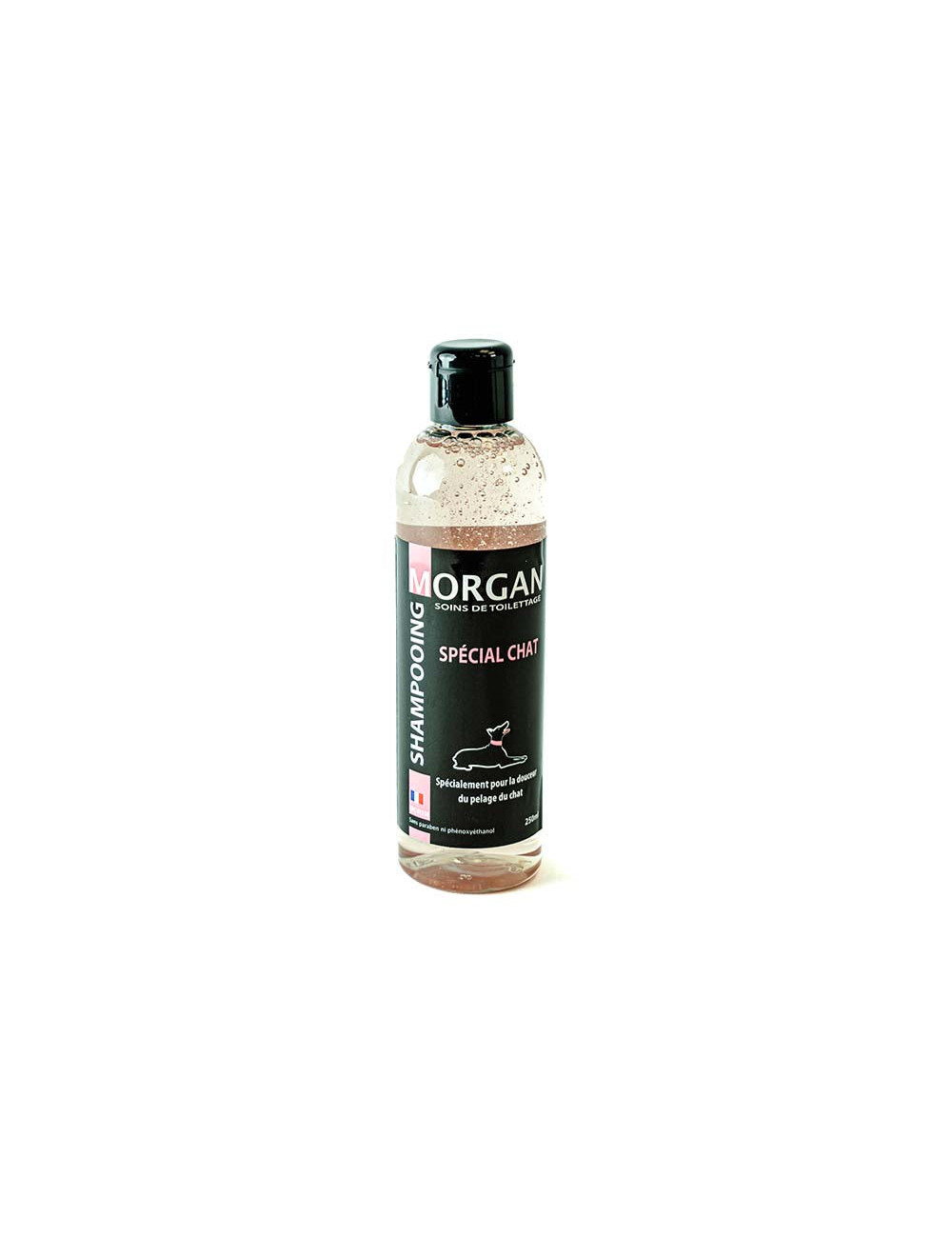 Morgan Shampooing Spécial Chat – Soin Doux et Hydratant pour Pelage  250ml